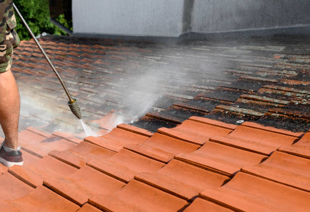 Professional Pressure Washing in Highland Park, PA